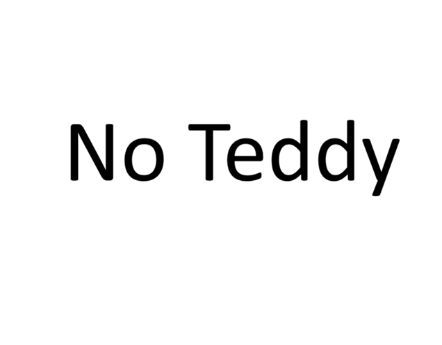 No Teddy